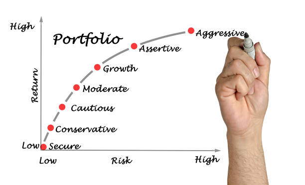 Low Risk Portfolio
